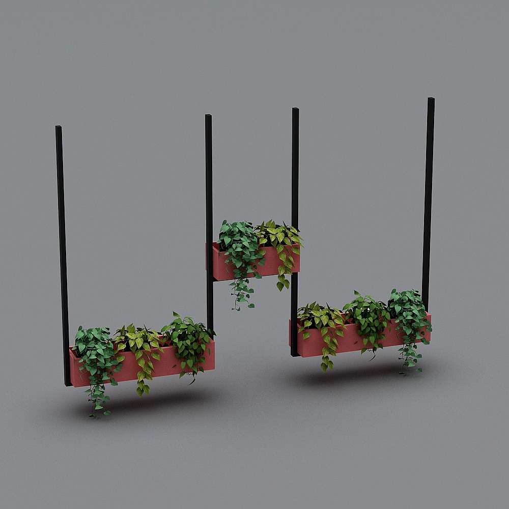hanging plants