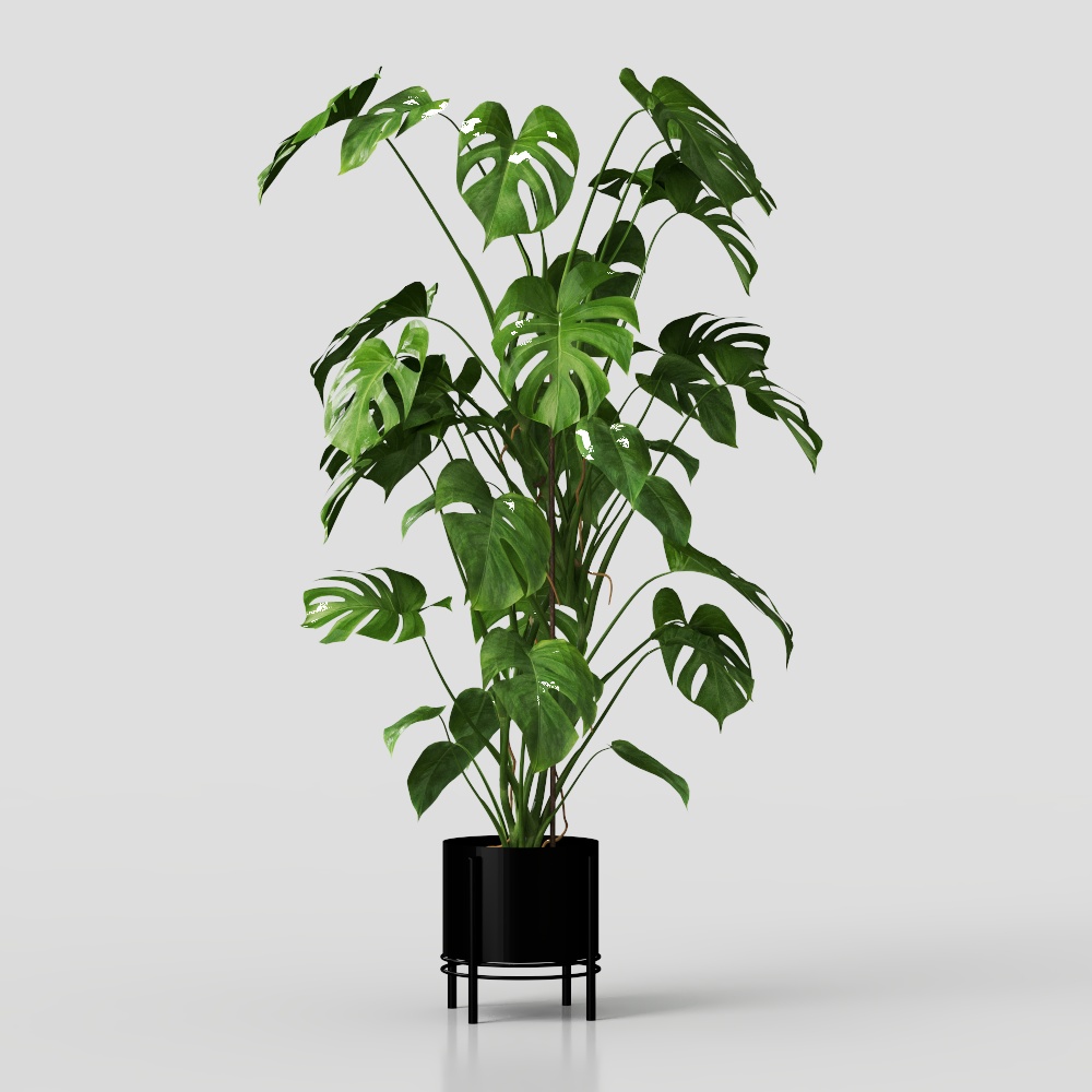 人工モンステラ 1800mm