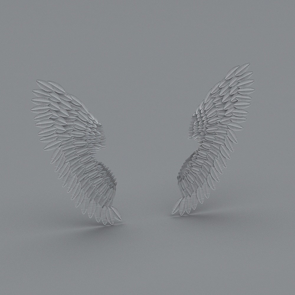Angel Wings 3D model