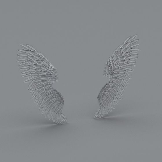 Angel Wings 3D model