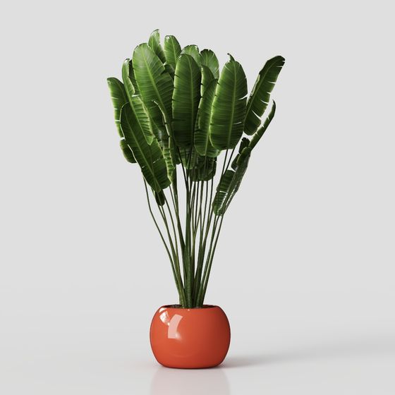 Vibrant Bird of Paradise Plant Pot 3D model