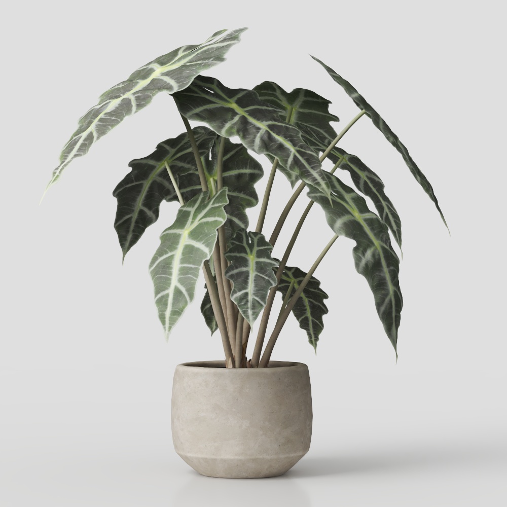 Indoor Green Plant 3D Model