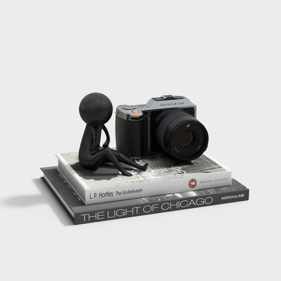 Tranquil Moments of a Photographer 3D model