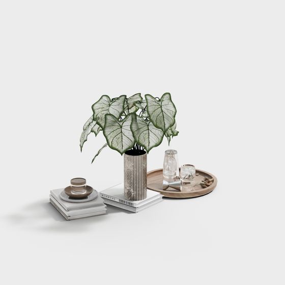 Home decor set with plant vase tray books and glasses on white background