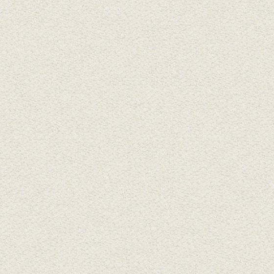 bru Buru Plain Surface White Texture Utopia in Earth Color