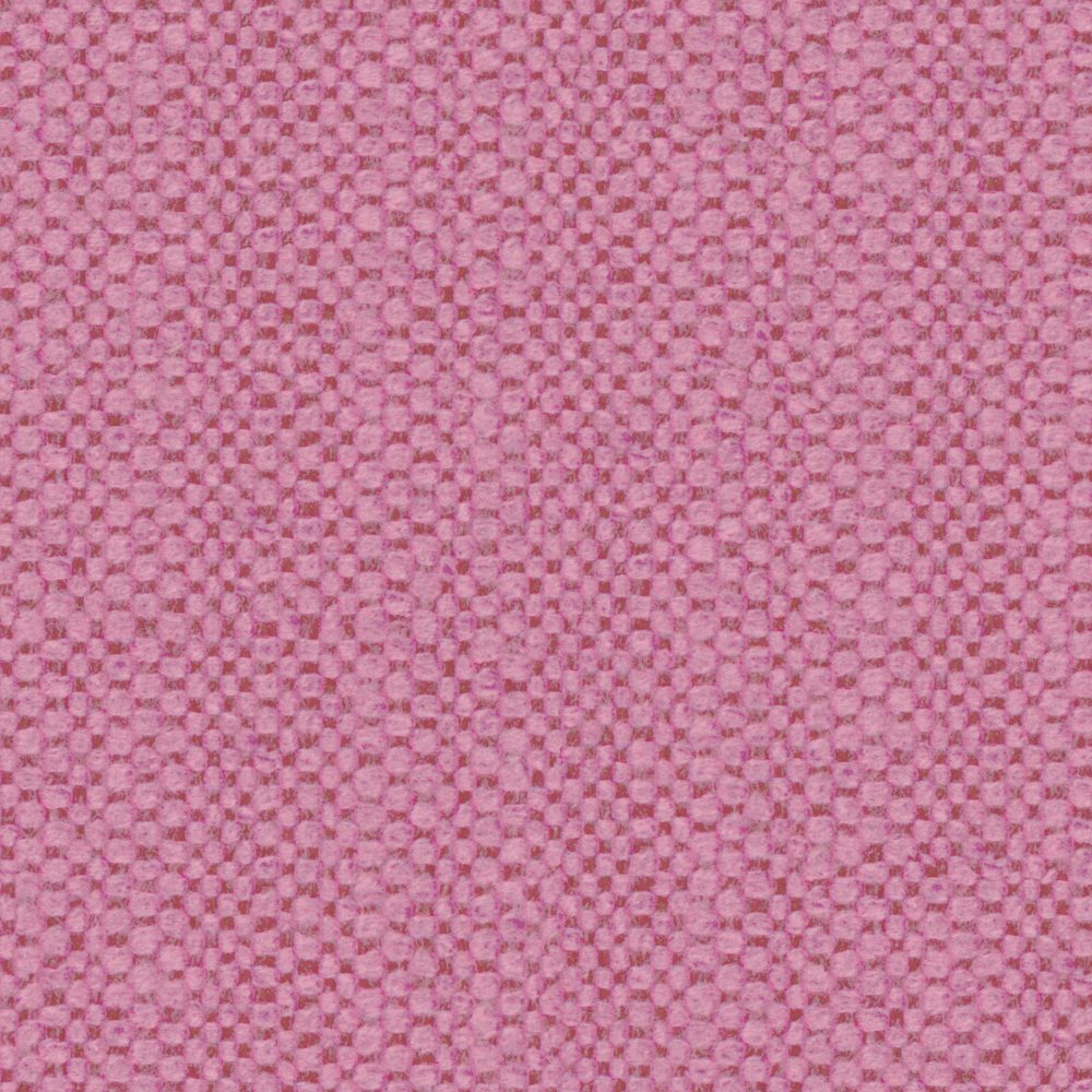 Chic bru Buru Plain Pink Texture 3D Model