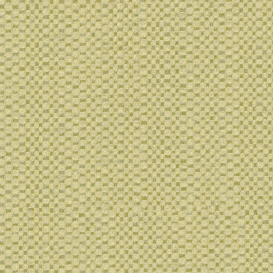 bru Buru Plain Surface in Golden Texture