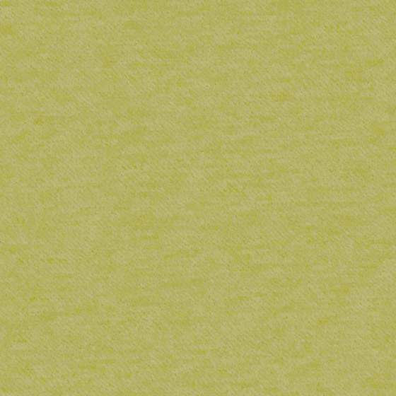 Elegant Green Bru Buru Plain Velvet for Decor