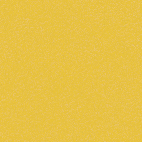 Golden Artificial Leather Material 3D Model