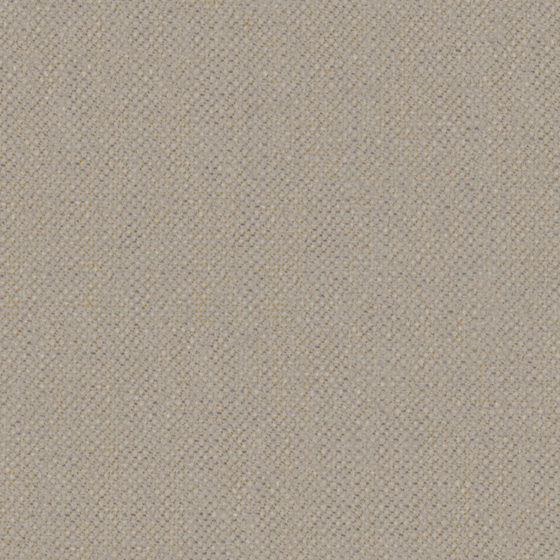 Cozy bru Buru Plain Brown Texture 3D Model