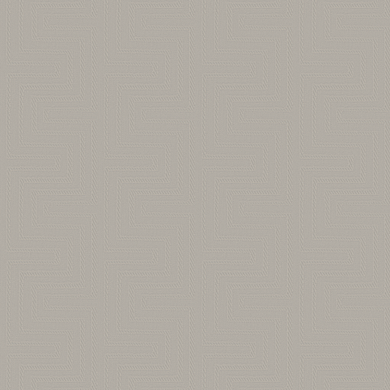 Buru Geometric Velvet Regal Velvets 3D Model in Gray
