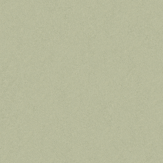 Bru Buru Plain Green Semi-Shading Material 3D Model