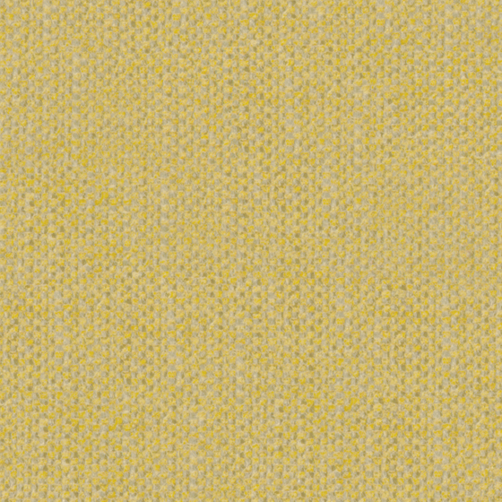 Bru Buru Plain Golden Chenille 3D Model in Wood Color