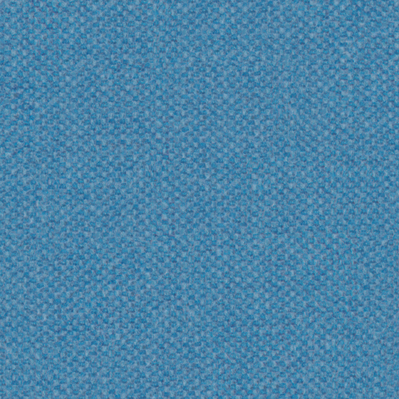 Versatile Bru Buru Plain Blue Chenille 3D Model