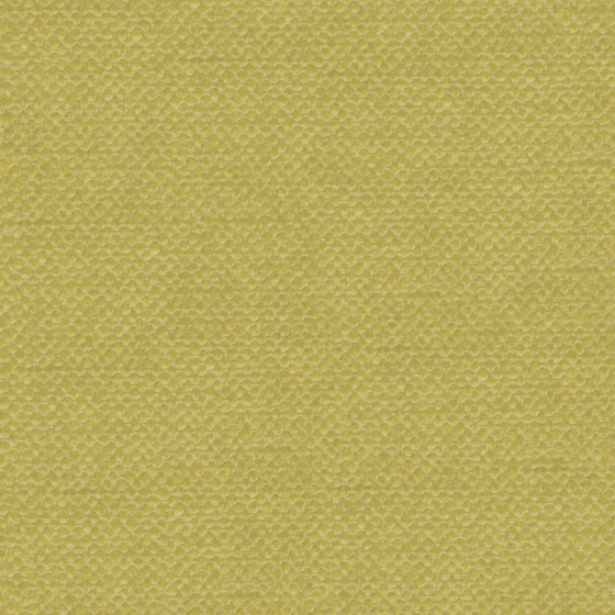 Elegant bru Buru Plain Golden Velvet Indulge 3D Model in Brown