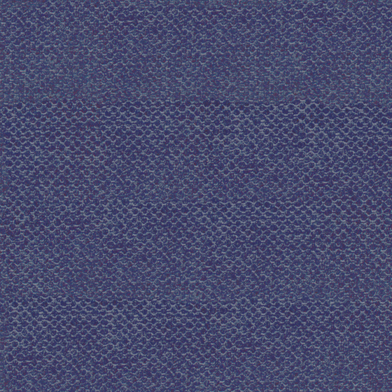 Bru Buru Plain Blue Velvet Indulge 3D Model