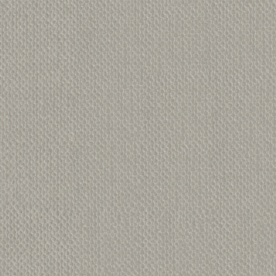 Soft Gray Bru Buru Velvet Model