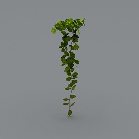 Vibrant Vine Plant 3D model