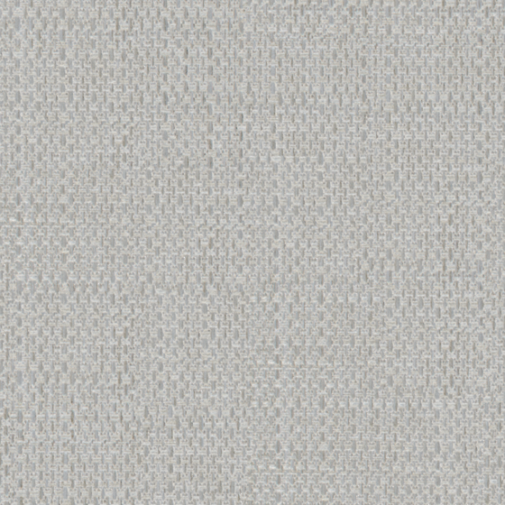 Earth Color Texture 3D Model in Gray