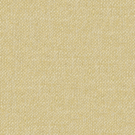 bru Buru_plain surface_golden_texture_Casual