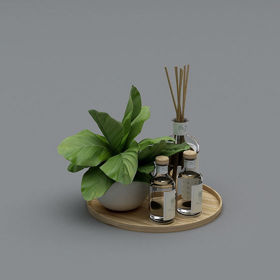Indoor Plant and Essential Oil Set 3D model