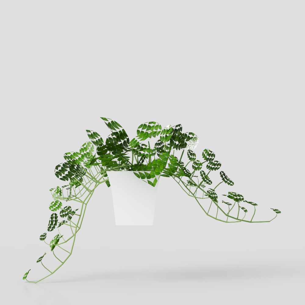 ต้นไม้ในบ้าน