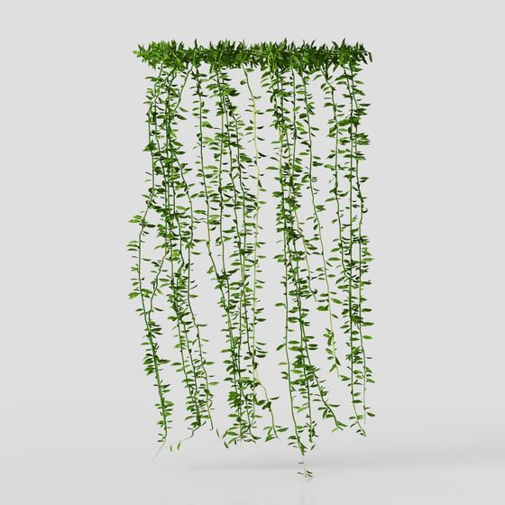 Hanging Plant Wall 3D Model for Designers