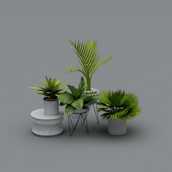 Low Poly Plant Combination 3D model for Interior Design