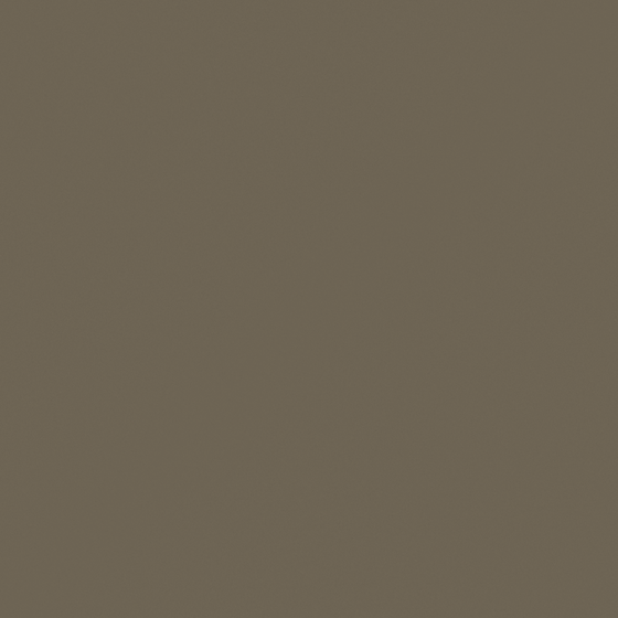 Brown Swamp Wall Paint 3D Model for Rustic Interiors