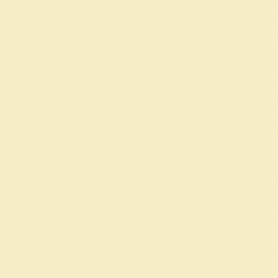 CP 45YL19-91 Cheese Bread