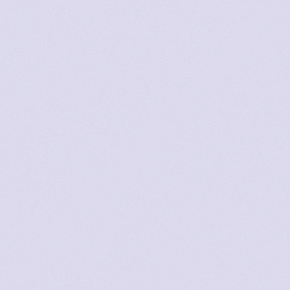 CP 50BR12-85 Purple Daisy