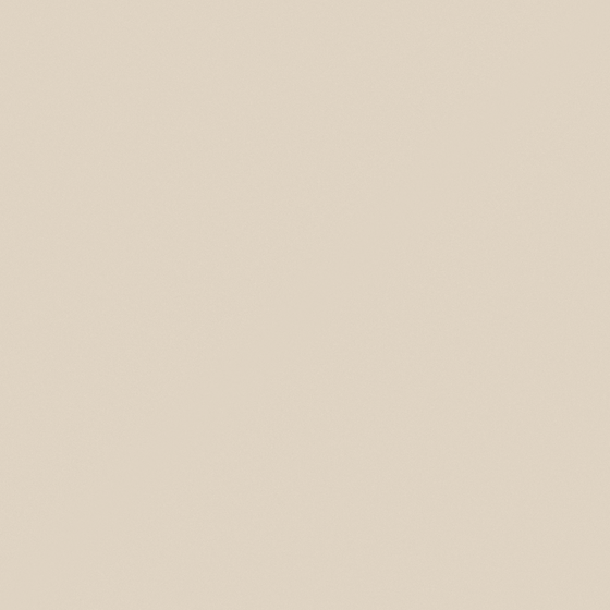 CP 99YR09-82 Kiln Color Paint in Earth Color