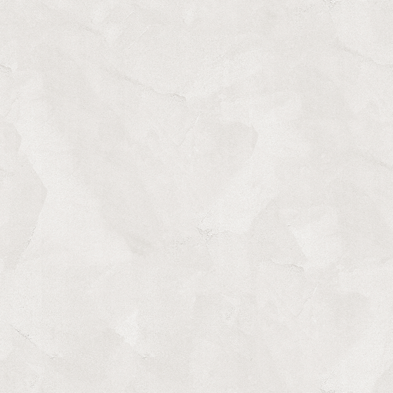 Classic Wall Paint 3D Model in Gray