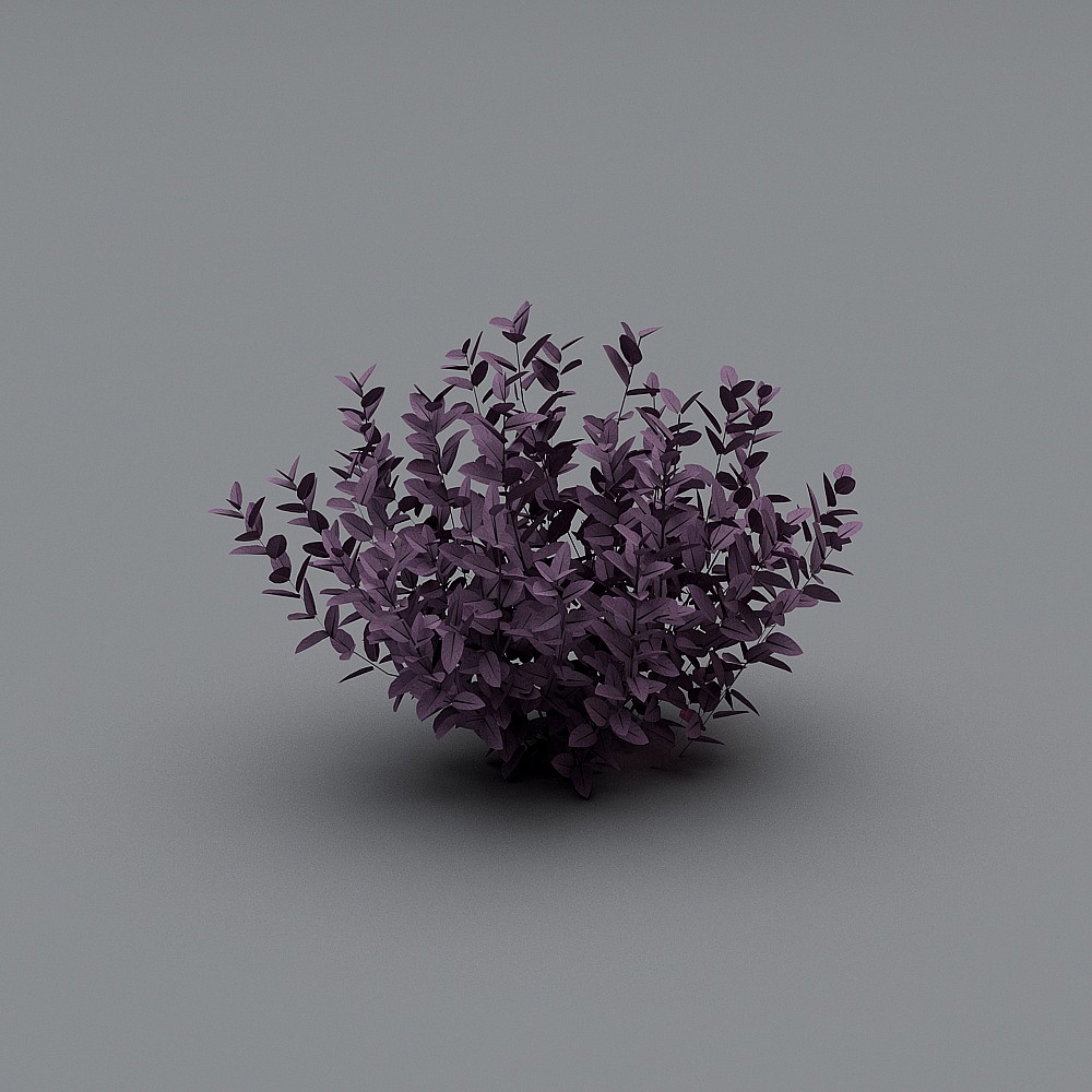 Vibrant Purple Leaf Shrub 3D Model