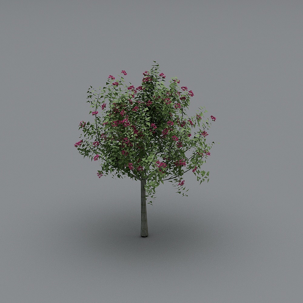 Vibrant Lavender Tree 3D model