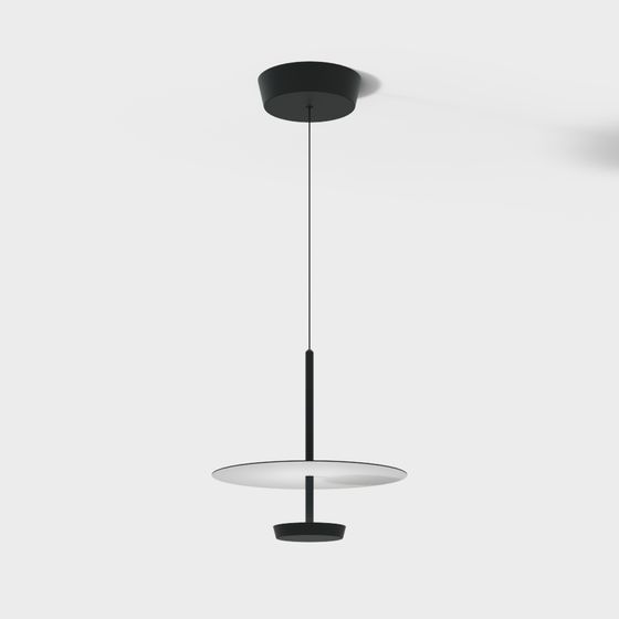 Stylish Suspended Halo Pendant Light 3D model