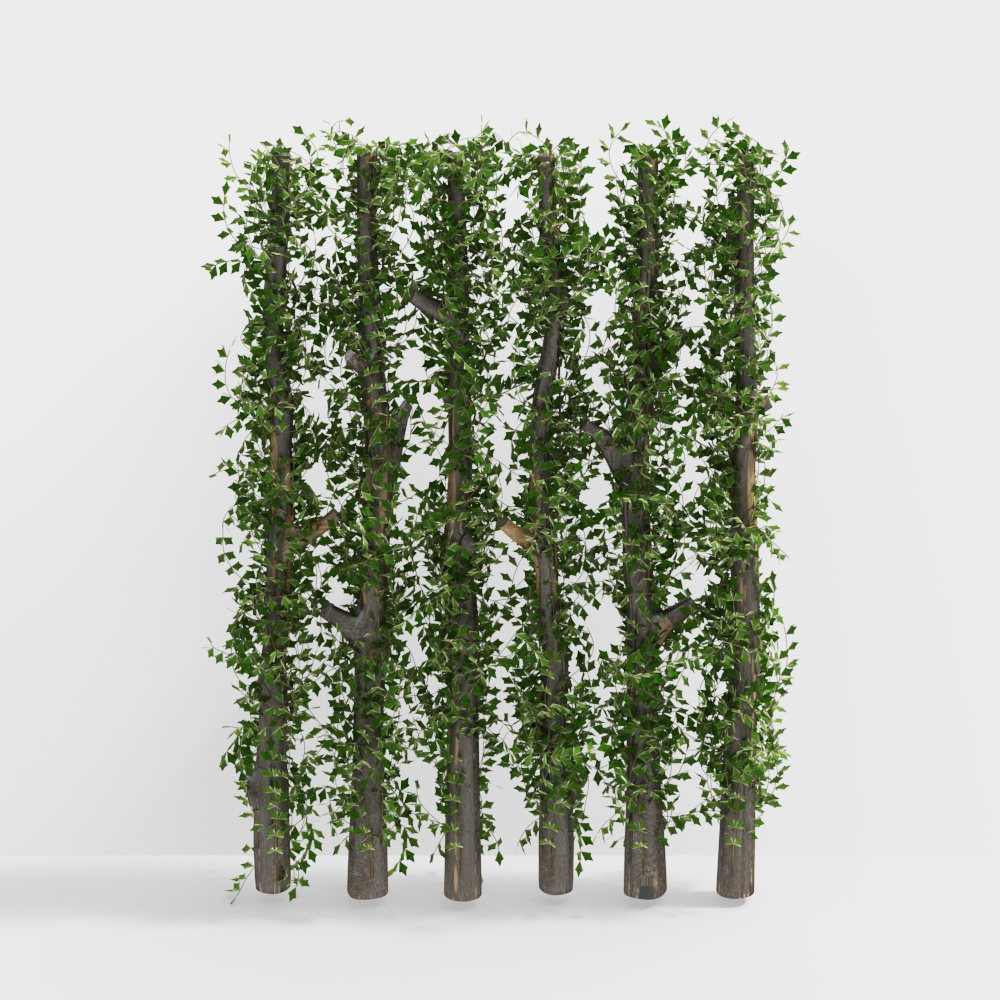 Partizione vegetale verde