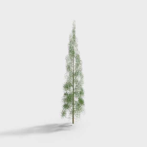 Realistic Low-Poly Pine Tree 3D model