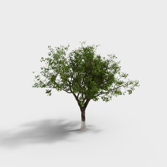 Realistic Low-Poly 3D Tree Model for Creative Projects