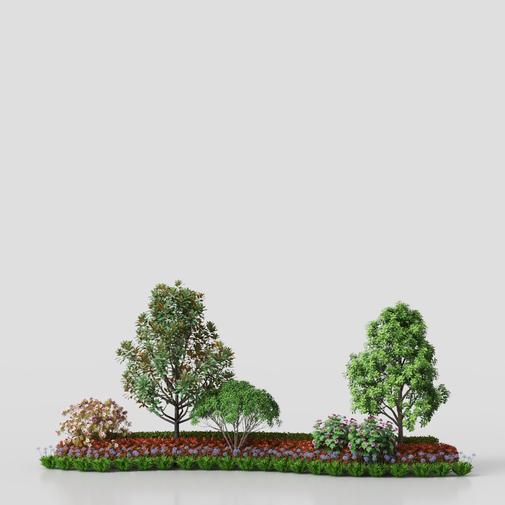 Tree and Shrub