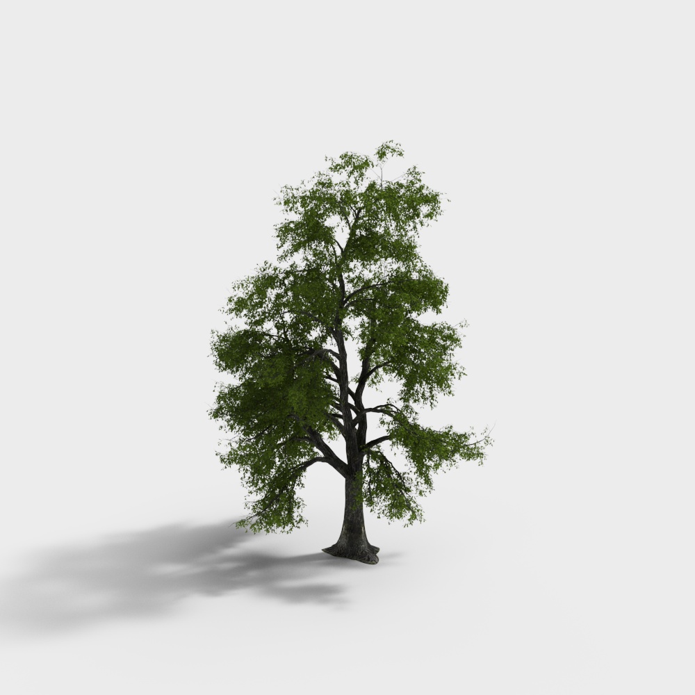 Realistic Low-Poly Oak Tree 3D model