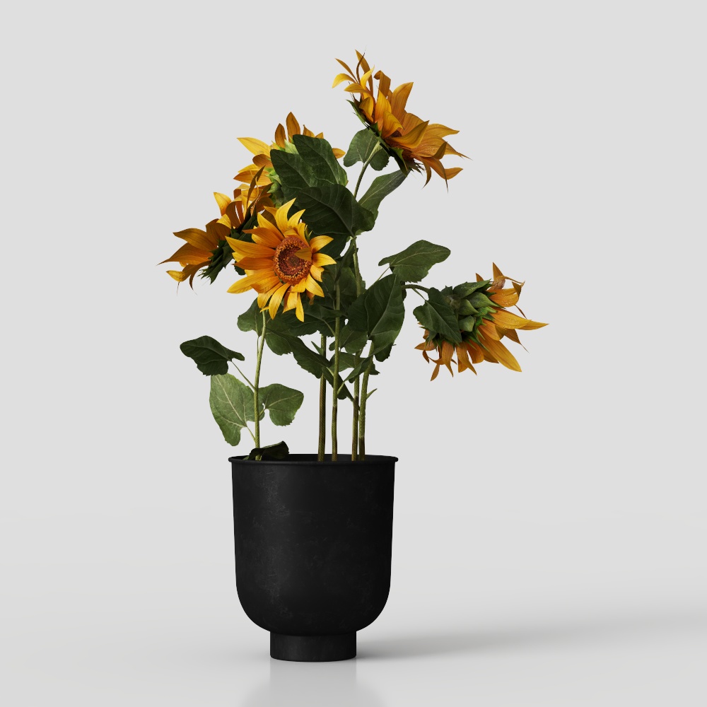 Charming Sunflower Potted Plant 3D Model – Low-Poly Nature Asset