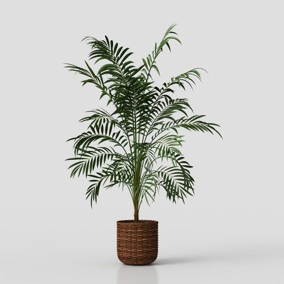 Low-Poly Indoor Plant 3D Model