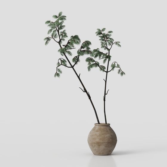 plante verte Wabi-sabi
