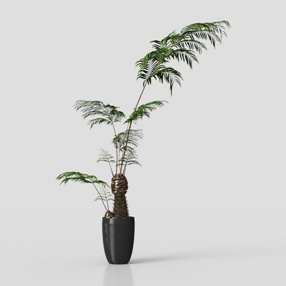 Wabi-Sabi Greenery 3D Model for Natural Spaces