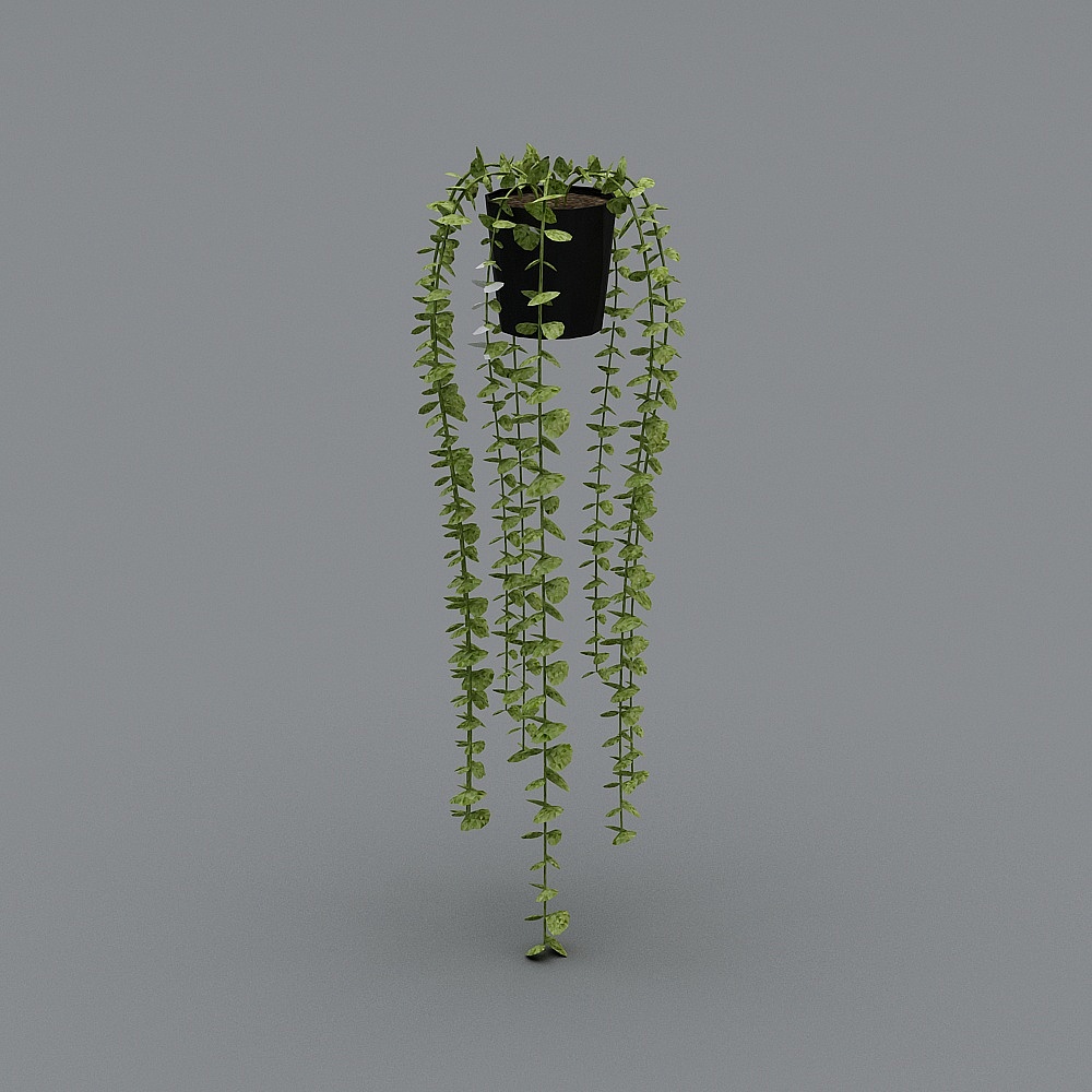 Low Poly Hanging Plant 3D Model