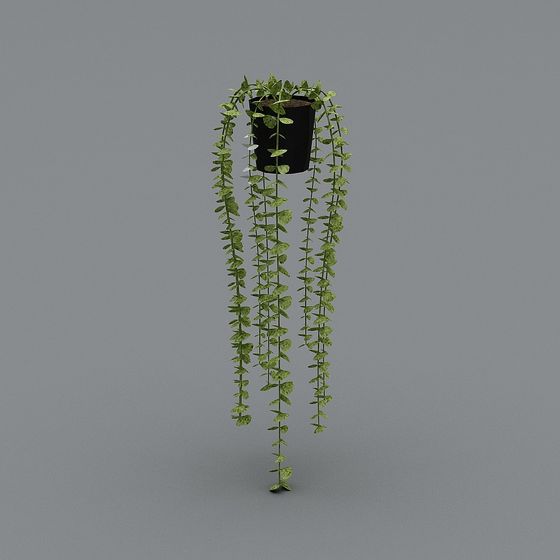 Low Poly Hanging Plant 3D Model
