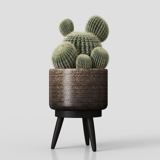 Cactus Planter 3D model