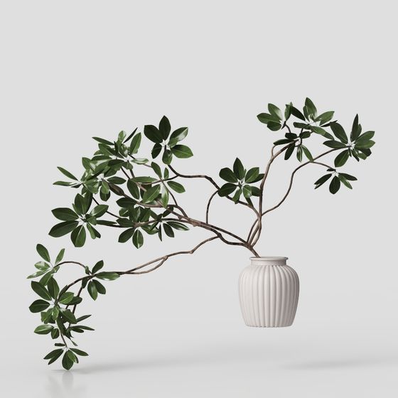 現代の緑の植物装飾