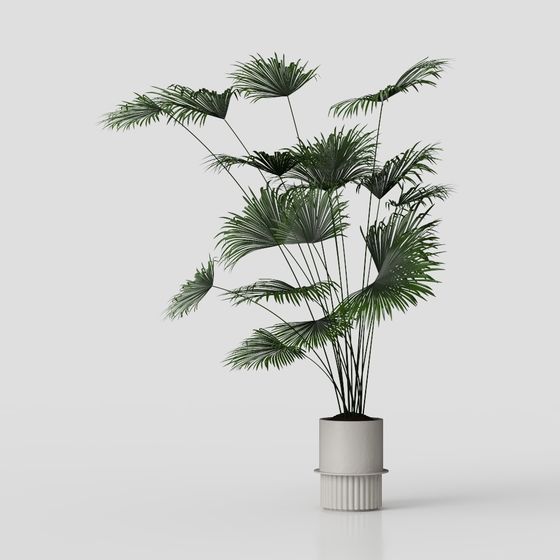 Tropical Style Potted Plant 3D model